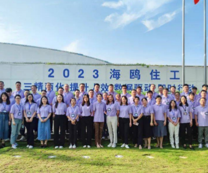 從戰(zhàn)略到執(zhí)行，四維衛(wèi)浴手把手教你如何破局