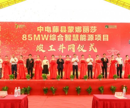 廣西最大工商業(yè)屋頂光伏項目在蒙娜麗莎正式并網啟用！